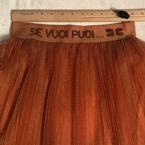 Elisabetta Franchi La Mia Bambina Rosa Se Vuoi Puoi Dobby Mesh Skirt Women’s XS - Picture 5 of 12